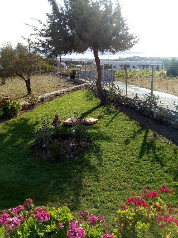Traditional House Paros Sarakíniko المظهر الخارجي الصورة