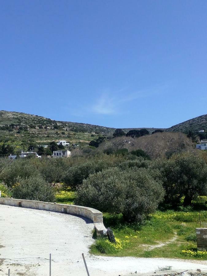 Traditional House Paros Sarakíniko المظهر الخارجي الصورة