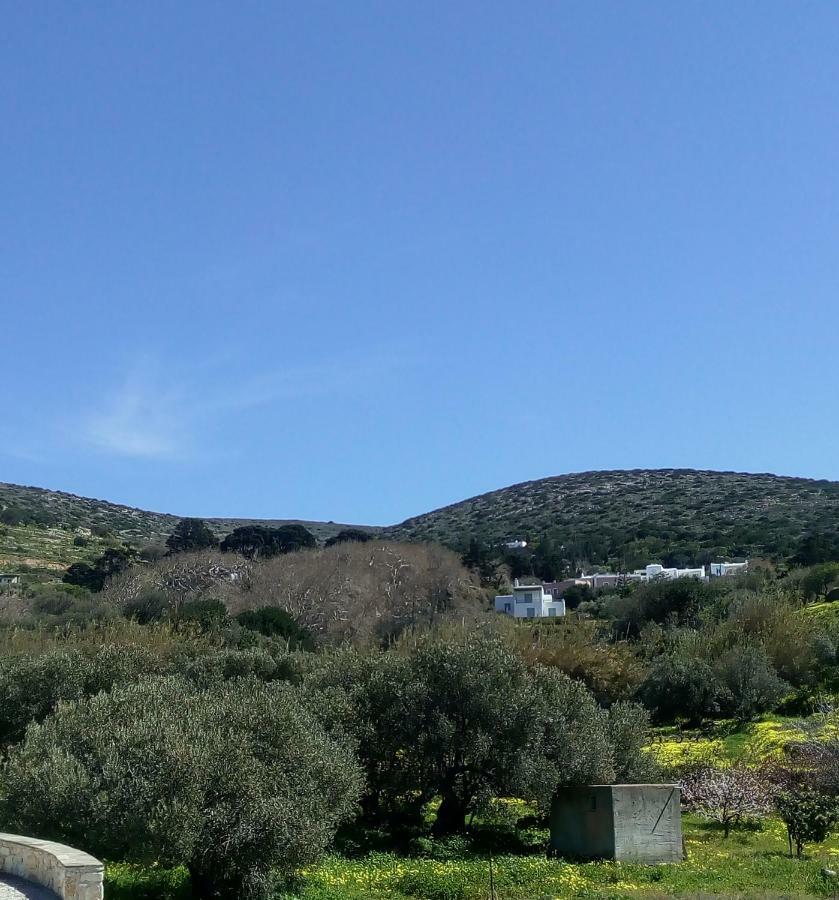 Traditional House Paros Sarakíniko المظهر الخارجي الصورة